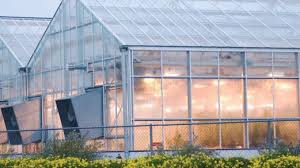 Greenhouse Polycarbonate Panels