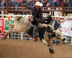 100 bull riding wallpapers