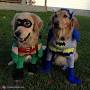 Batman and Robin - Halloween Costume Contest at Costume-Works.com ...
