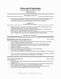Good Resume Objective Statement Examples Best Good Objective