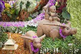 the rhs chelsea flower show 2022