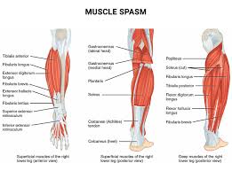 muscle spasm muscle crs treatment