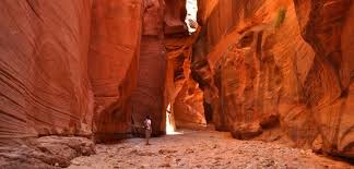Buckskin gulch is one of our favorite backpacking experiences ever. Buckskin Gulch Via Wire Pass Your Hike Guide