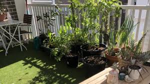 Balcony Vegetable Garden Small Space