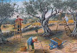 N°315 Cueillette Des Olives, Peinture par Enio | Artmajeur
