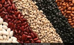 do-beans-help-you-lose-belly-fat