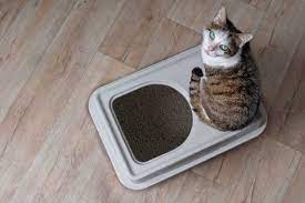 how to clean a litter box tips for a