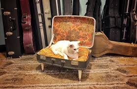 diy vine suitcase cat bed
