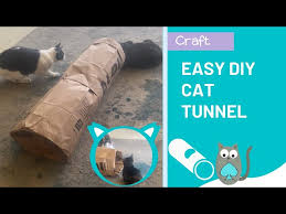 Diy Cat Toy Diy Cat Tunnel With Paper