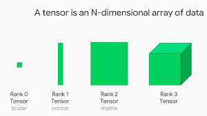 tensor explained with python numpy
