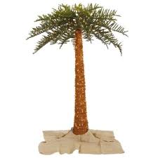Earthflora Pre Lit Palm Tree Ngs
