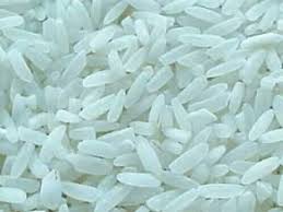 「‫گندم و برنج‬‎」の画像検索結果