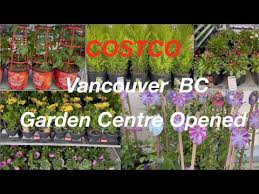 Costco Garden Centre Tour Canada You