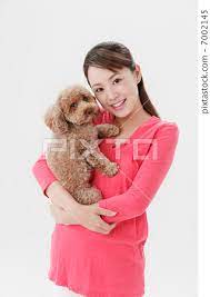 a woman holding a toy poodle stock