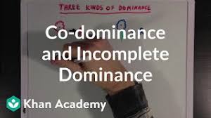 Appearances, projects, and initiatives we are proud to be a part of. Co Dominance And Incomplete Dominance Video Khan Academy
