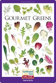 Gourmet Greens Salad Id Chart Earthbound Farm Organic