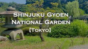parks in tokyo shinjuku gyoen