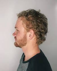 For this spunky hairstyle, have your barber give you a gray to black balayage with a pink ombre. 29 Of The Best Curly Hairstyles For Men Haircut Ideas