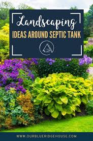 30 Landscaping Ideas Around Septic Tank