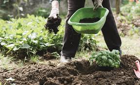 Tips For Amending Problem Soils The