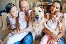Pets plus us is a fairly new pet insurance company that provides pet insurance services in canada. Why Choose Us For Medical Travel Insurance Assistance