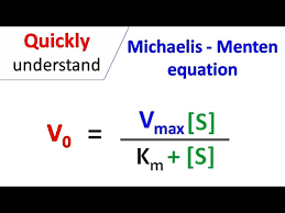 michaelis menten equation you
