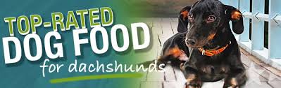 Best Dog Food For Dachshunds Ultimate Buyers Guide