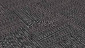 premium carpet tilecaledon 501