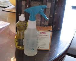 pet stain odor remover for carpet