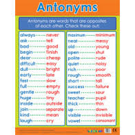 Educational School Posters Homophones Literacy Chart For