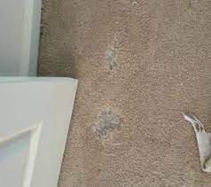 atlanta carpet patching repair holes