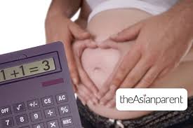 free pregnancy weight gain calculator