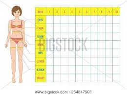 Body Measurement Vector Photo Free Trial Bigstock