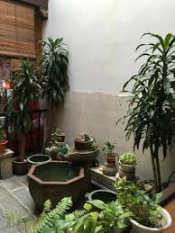 Mini Indoor Garden Picture Of