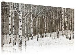 24 X48 Birch Trees Canvas Wall Art