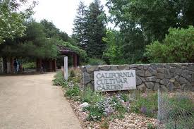 cultivars at california botanic garden