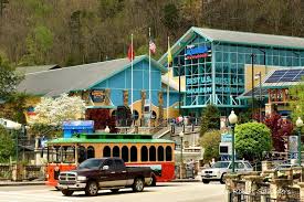 in gatlinburg and pigeon forge