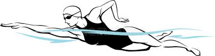 Image result for swimming freestyle  clipart
