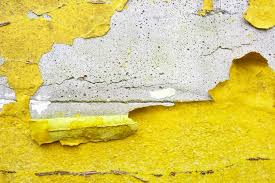 Canary Yellow Orange Ling Paint