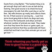 They don't know evil or jealousy or discontent. 32 Lets Be Educated Ideas Let It Be Education Pet Hacks