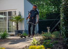 Hire A Professional Gardener