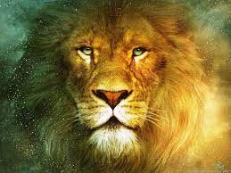 Lion HD Wallpapers - Wallpaper Cave