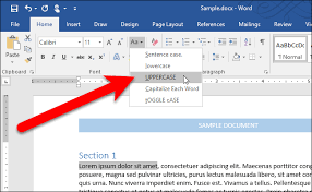 change the case on text in microsoft word