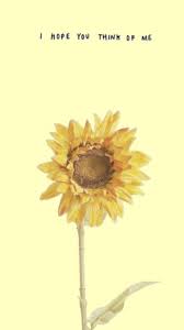 iPhone Aesthetic Sunflower Wallpaper ...