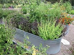 Box With Creative Vegetable Garden