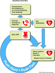 Part 5 Adult Basic Life Support Circulation
