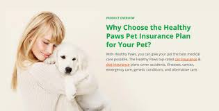 Maybe you would like to learn more about one of these? 10 Best Pet Insurance Companies Of 2021 Consumersadvocate Org