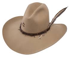 No Fences No Fences Cowboy Hat No Fences Western Hat
