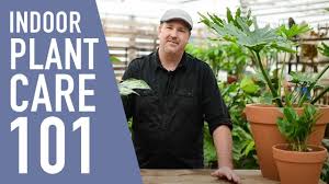 Invest in a humidity monitor so you can keep tabs on the level of humidity in your home. Tropical Plant Care Made Easy West Coast Gardens Youtube