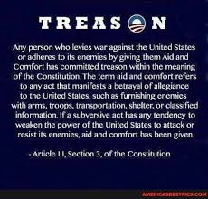 treas any person who levies war against